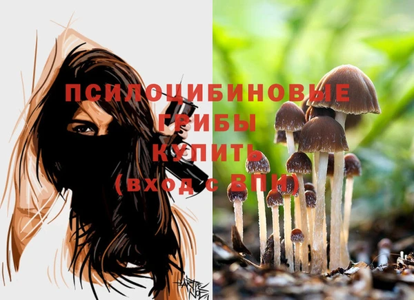 дурь Пересвет